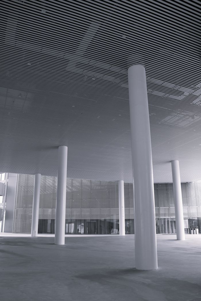 Elegant indoor space with modern white pillars and a textured ceiling, showcasing minimalist architectural design.